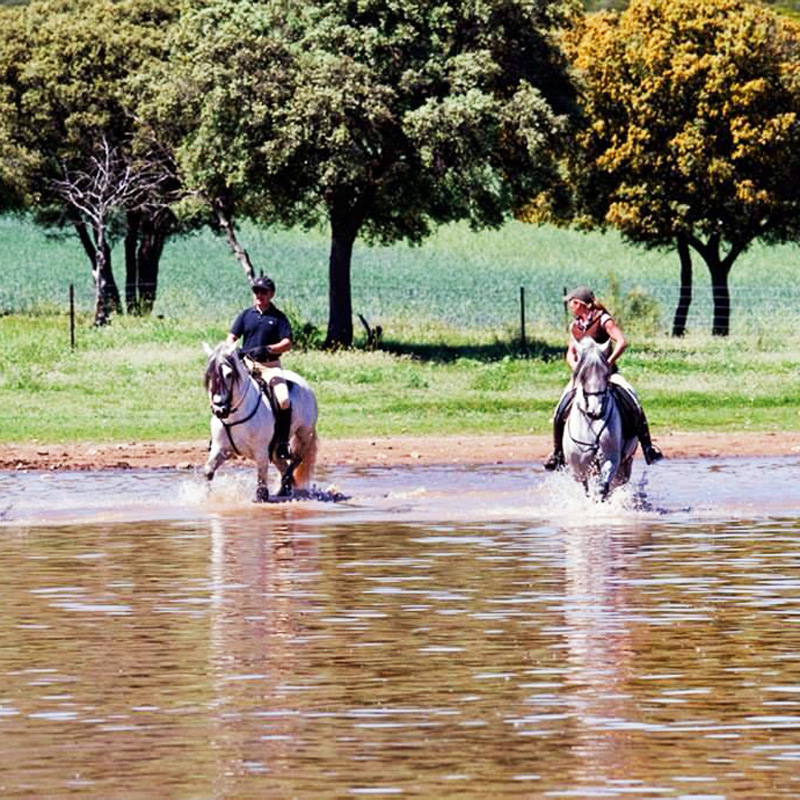 PASEO A CABALLO - FINCA EL PALOMAR