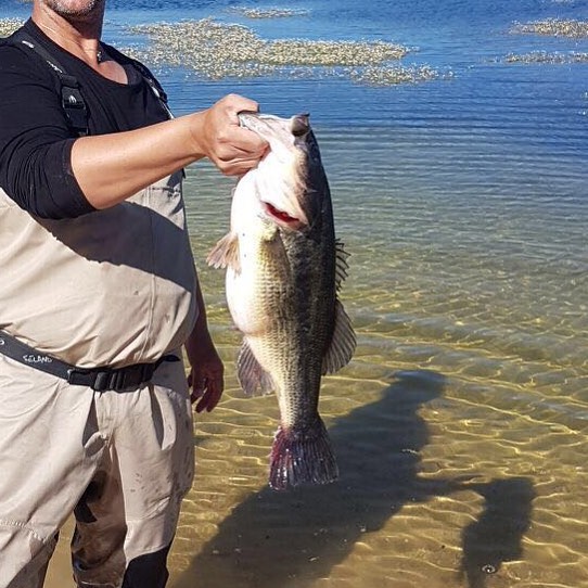 PESCA-FINCA-EL-PALOMAR